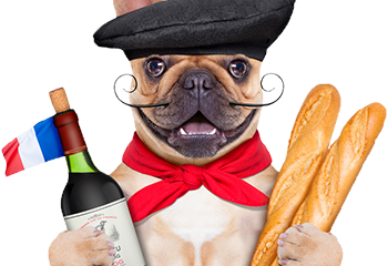 French for Beginners